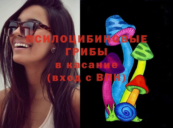 стаф Алексин