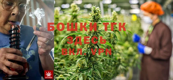 стаф Алексин