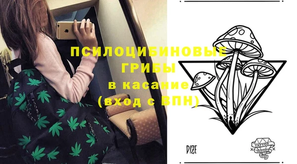 стаф Алексин